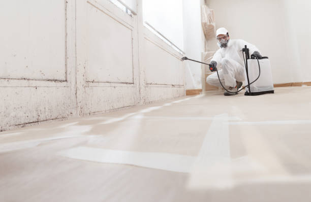 24/7 Emergency Bathroom Mold Removal experts in Kearny, AZ